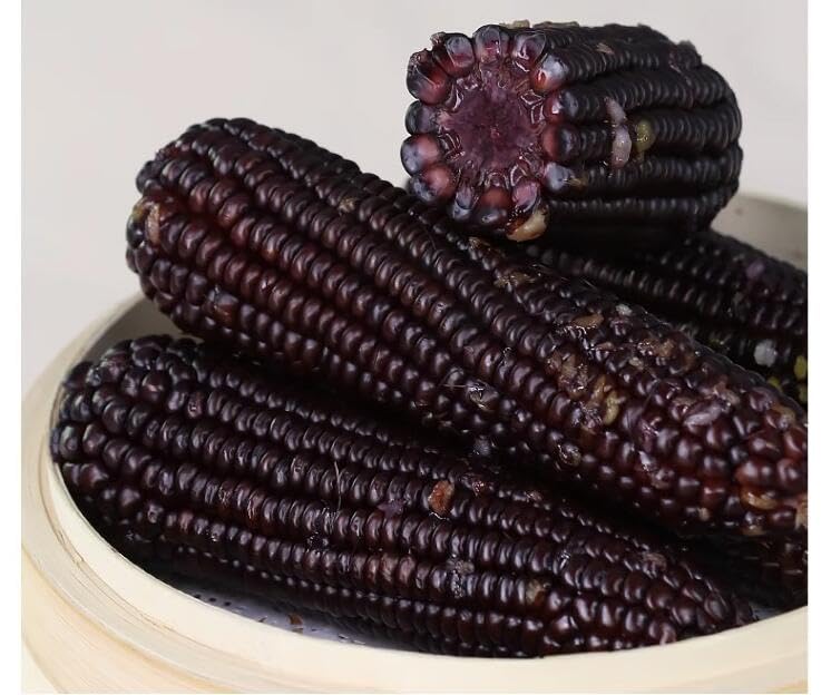 Amazon.co.jp: 黒糯玉米 1個入×20個 とうもろこし 黑玉米 粘玉米